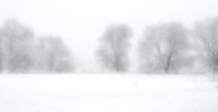 Snow & Ice