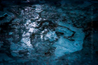 Abstract