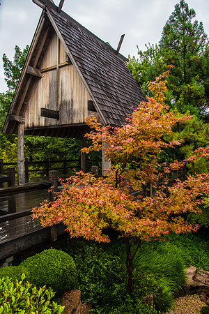 Japanese Gardens