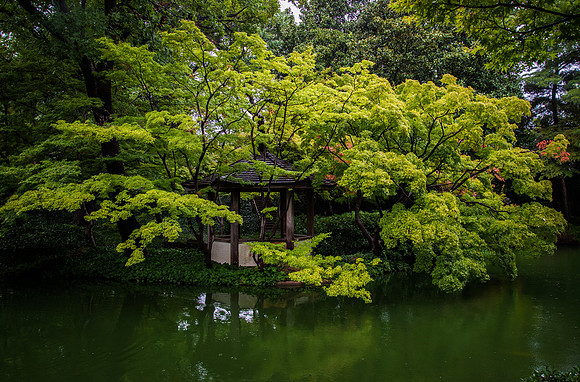 Japanese Gardens