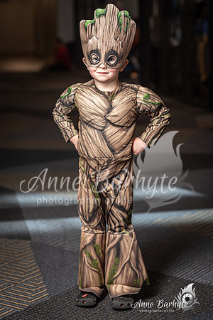 StarFest 2019