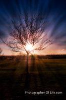 Digital Photographic Art