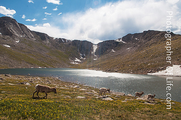 Summit Lake, Mt Evans